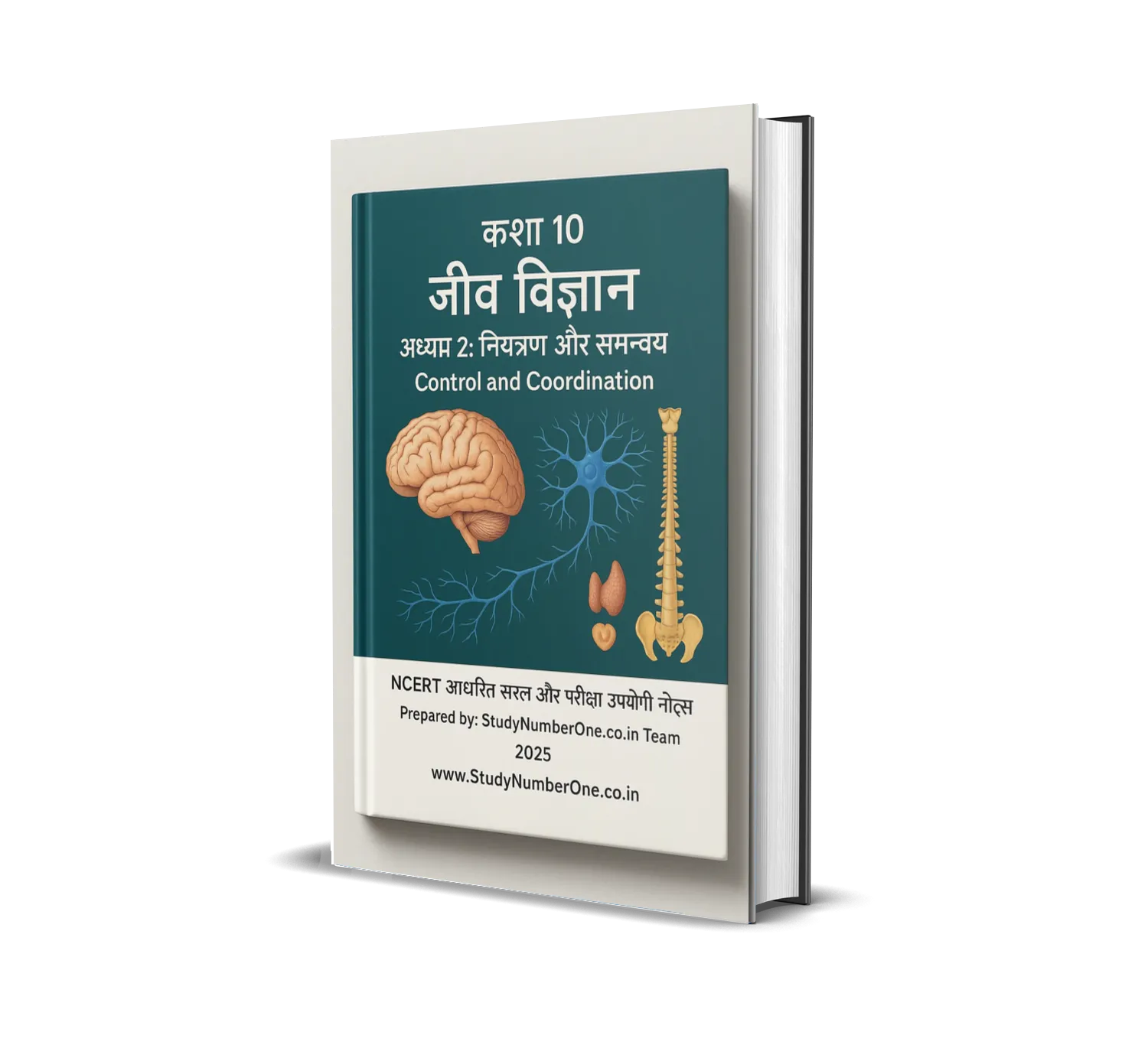 Class 10th Biology Chapter 2 Notes in Hindi