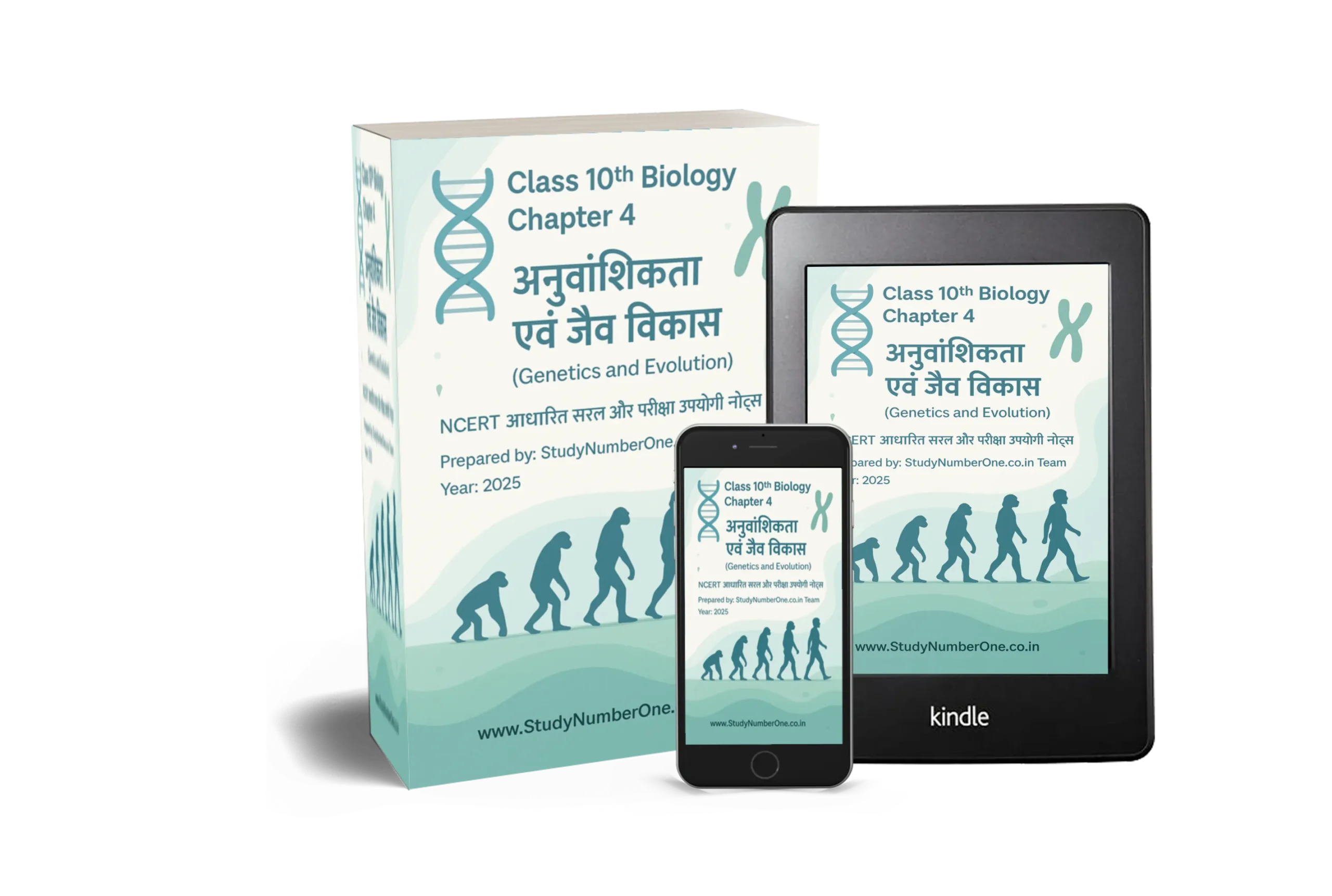 Class 10th Biology Chapter 4 Notes