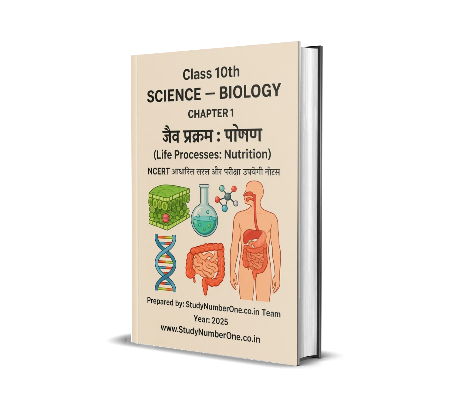 Class 10 Biology Chapter 1 Notes
