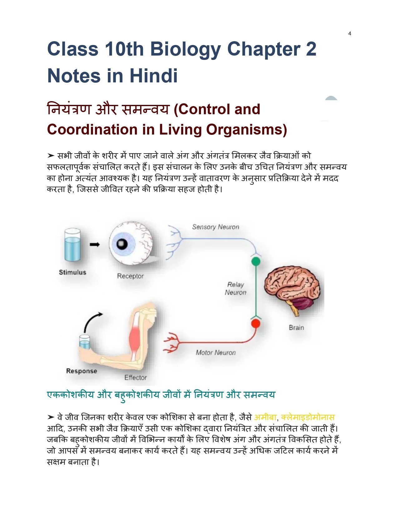 Class 10th Biology Chapter 2 Notes in Hindi